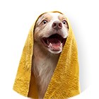 Полотенца