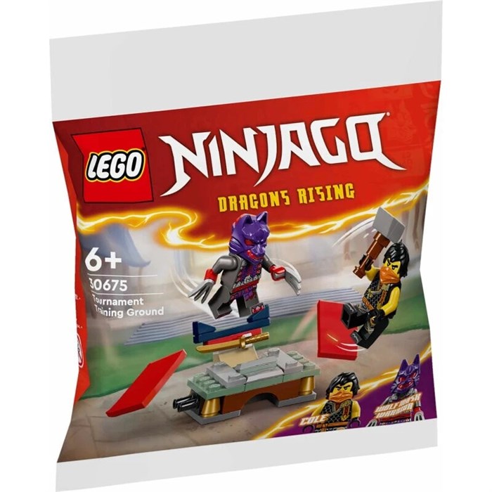Конструктор развивающий игровой LEGO 30675 183296159