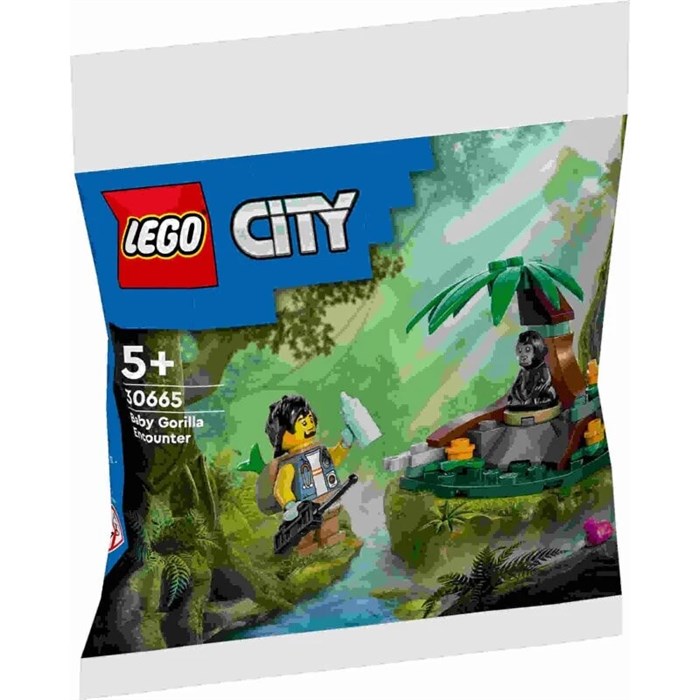Конструктор детский развивающий LEGO 30665 220849841