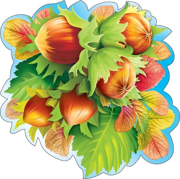 Украшение на скотче "Орехи" 079.145 079.145