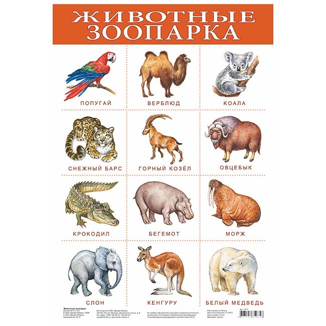 Плакат Животные зоопарка 1917 611-911