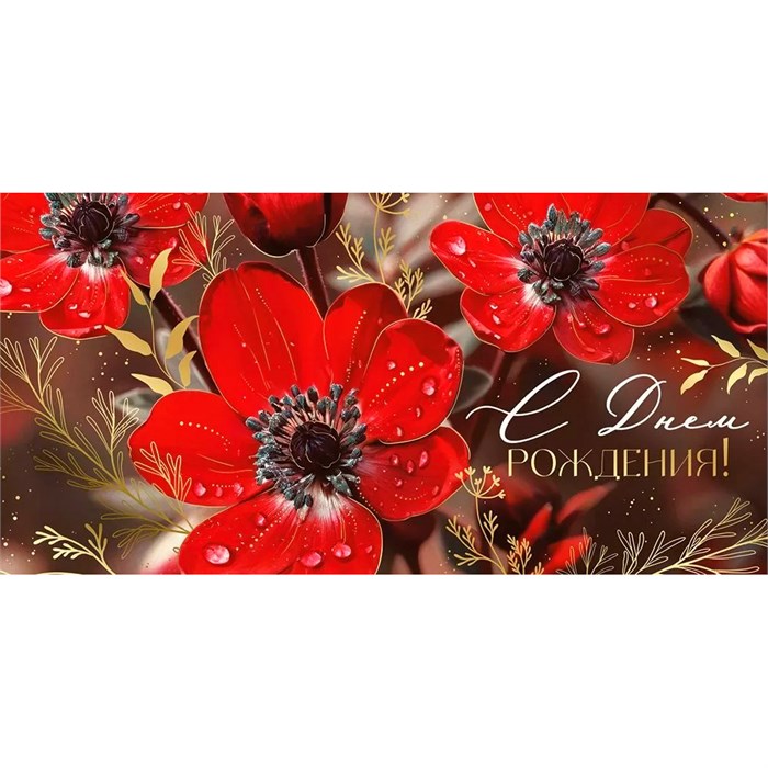 Конверт для денег С Днем рождения! 3.0000585 562-306