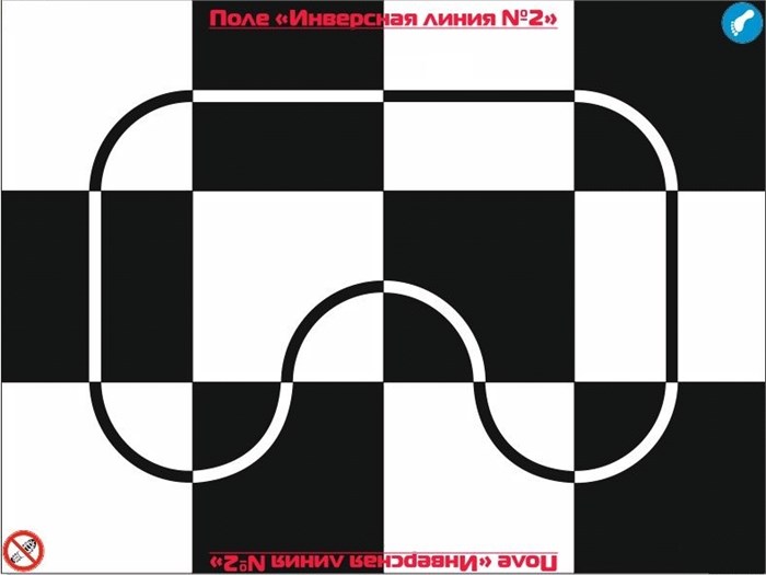 Поле Инверсная линия 3240 х 2430 мм 11796