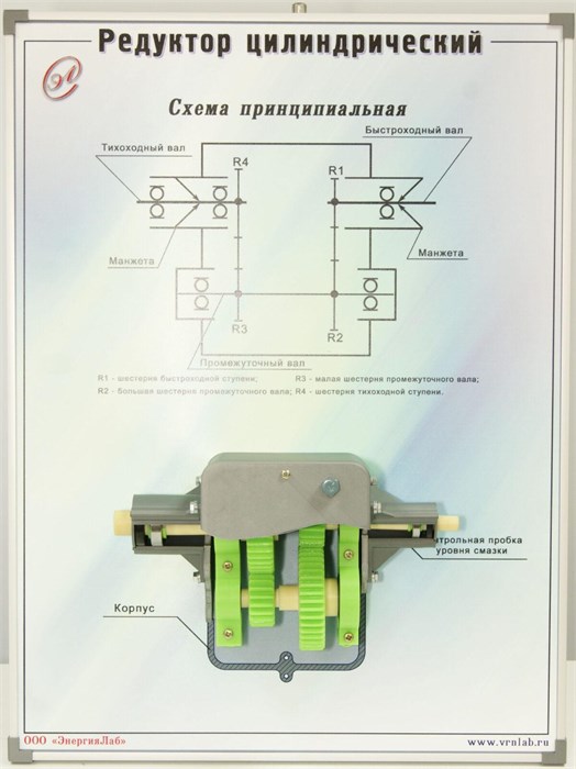 Учебный плакат-планшет «Редуктор цилиндрический» ✅ 15458