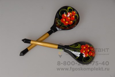 Ложки (пара) 1668118113