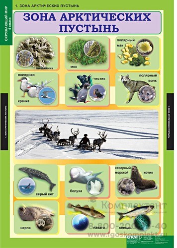 Табл. Окружающий мир 4 класс (15 таблиц), 68х98 1045706874