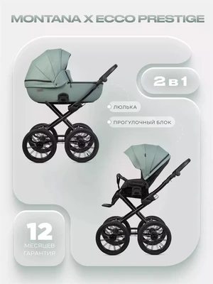 Коляска 2 в 1 Riko Basic Montana X Ecco Prestige 21 Green 5907729455386