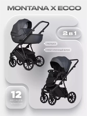 Коляска 2 в 1 Riko Basic Montana X Ecco 24 Graphite 5907729455522