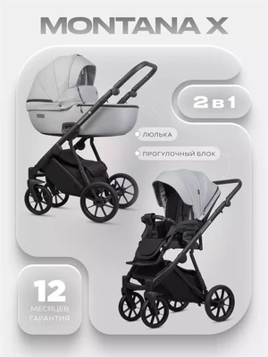 Коляска 2 в 1 Riko Basic Montana X 03 серый 5907729455799