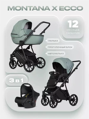 Коляска 3 в 1 Riko Basic Montana X Ecco 21 Green 5907729455539