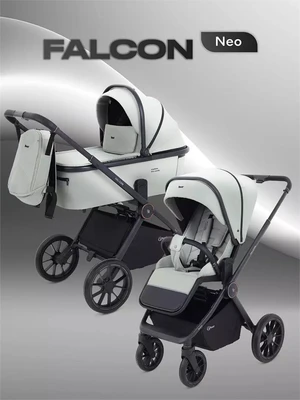 Коляска 2 в 1 Rant Falcon Neo Sage 4670078655912