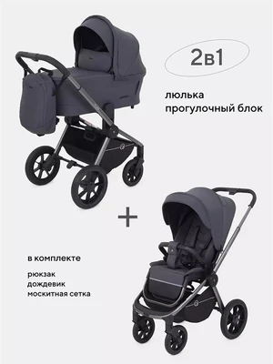 Коляска 2 в 1 Rant Flex Pro 2023 RA074 Graphite 4670078635273