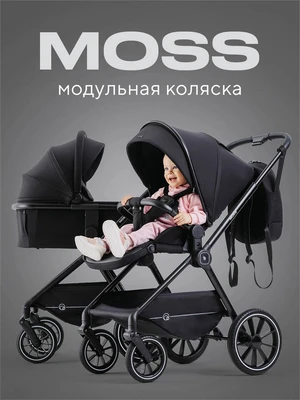 Коляска 2 в 1 Rant Moss Midnight black 4670078642516