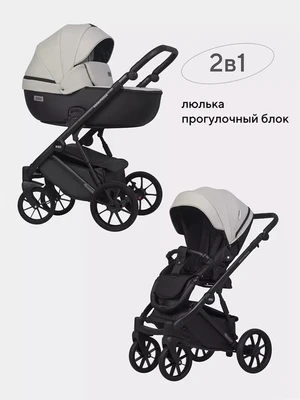 Коляска 2 в 1 Riko Basic Montana Ecco 31 Light Silver-Black 5907729454532