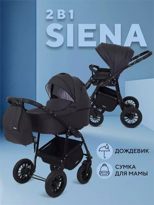 Коляска 2 в 1 Rant Siena 2024 08 графит 5903990641725