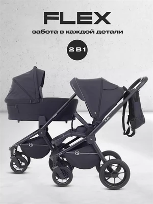 Коляска 2 в 1 Rant Flex 2025 RA076 Black 4670078653079