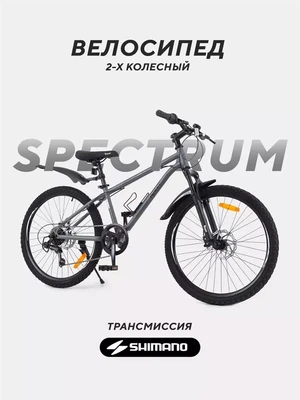 Велосипед 2-колесный Rant Spectrum 24" графит 4670078657602