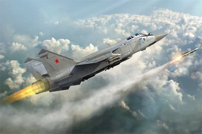 81753  авиация  Russian M&G-31 Foxhound  (1:48) 6939319217530