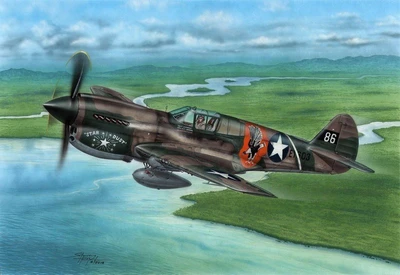 SH72338  авиация  P-40E Warhawk  'Claws and Teeth'  (1:72) 8594071086459