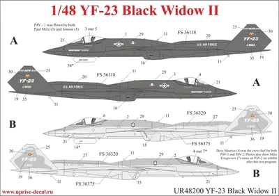 UR48200  декали  YF-23 Black Widow II  (1:48) 2000002140382