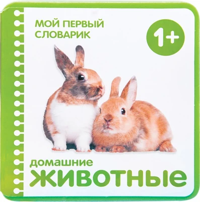 Мой первый словарик. Домашние животные (EVA) New 9786484000000
