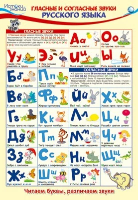ПЛ-14542 Плакат А3. Гласные и согласные звуки русского языка 222543744