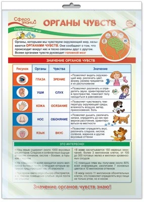 *ПО-13976 ПЛАКАТ А3 В ПАКЕТЕ. Окружающий мир в 3 классе. Органы чувств (в индивидуальной упаковке, с европодвесом и клеевым клапаном) 20419487