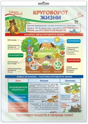 *ПО-13973 ПЛАКАТ А3 В ПАКЕТЕ. Окружающий мир в 3 классе. Круговорот жизни (в индивидуальной упаковке, с европодвесом и клеевым клапаном) 240674747