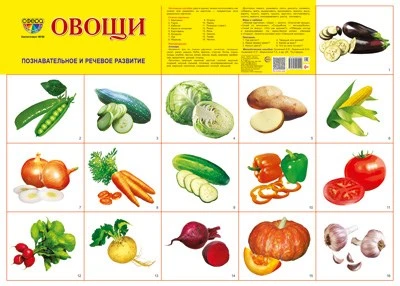 Демонстрационный плакат СУПЕР А2 Овощи 2011144416
