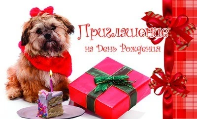 ПМ-9608 Открытка. Приглашение на День рождения (детское) 140х85мм 1897232118