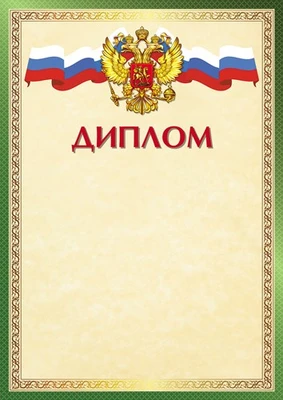 Ш-16243 Диплом с Российской символикой А4 (для принтера, бумага мелованная 150 г 669649621