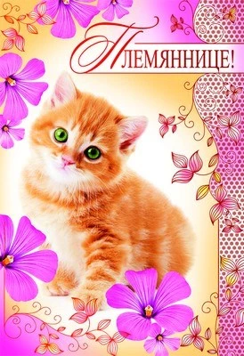 ЦР-8782 Открытка среднего формата Племяннице! Текст (красная фольга) 70192582
