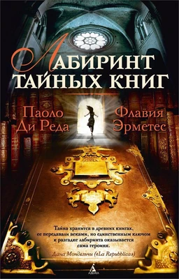 Лабиринт тайных книг 115131125