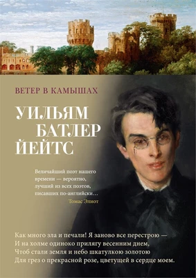 Ветер в камышах 1036286814