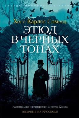 Этюд в черных тонах (твердый) 891386042