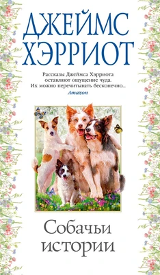 Собачьи истории 1667873294