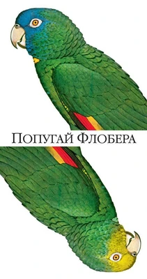 Попугай Флобера 1866403128
