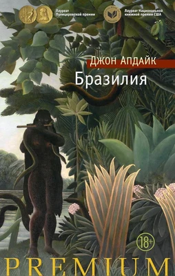 Бразилия (твердый) 464091666