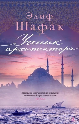 Ученик архитектора (Современный мировой бестселлер) 1848351321