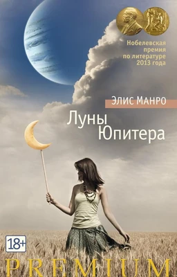 Луны Юпитера 312188233