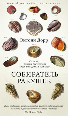 Собиратель ракушек 1056050782