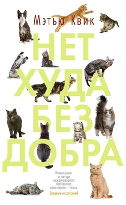 Нет худа без добра 952454969