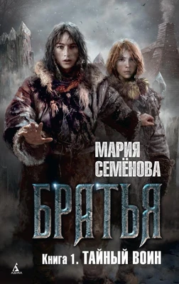 Братья. Книга 1. Тайный воин 198210381
