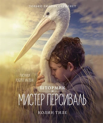 Штормик и мистер Персиваль 230483523