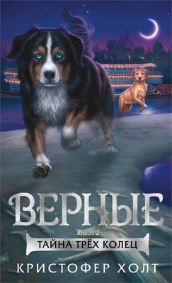 Верные. Книга 2. Тайна трёх колец 1468069835