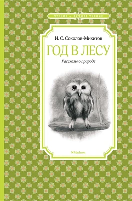 Год в лесу 1966632294