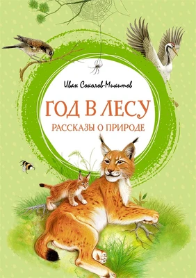 Год в лесу. Рассказы о природе 1556848292