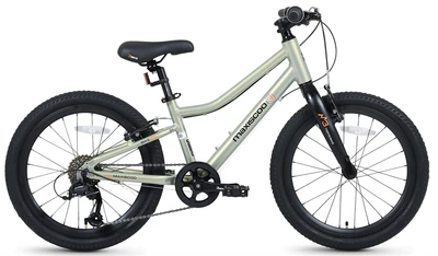 Детский велосипед Maxiscoo 3Bike 20'' Girl (2026) 1196707713
