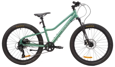 Подростковый велосипед Alpinebike Pegas 24 7 ск. (2026) 1408989880