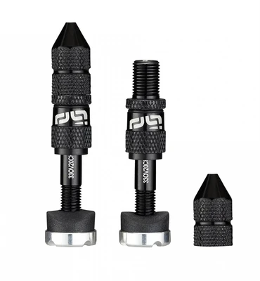 Ниппель бескамерный E Thirteen Quickfill Gen2, 16-24 мм., Schrader, 2 шт. 463300566